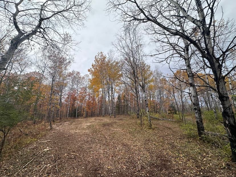 Comprehensive Range of Services's image